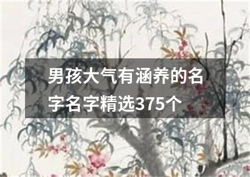 男孩大气有涵养的名字名字精选375个