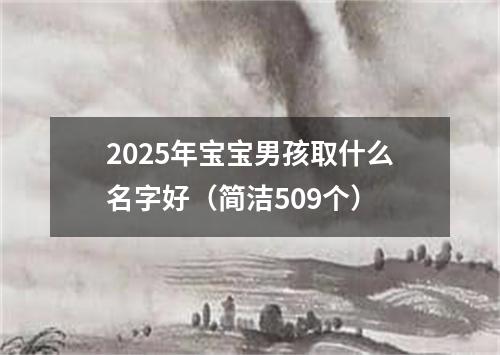 2025年宝宝男孩取什么名字好（简洁509个）