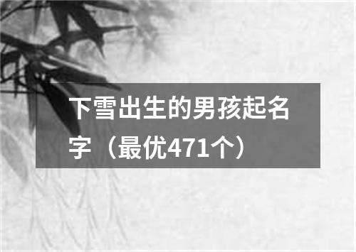 下雪出生的男孩起名字（最优471个）