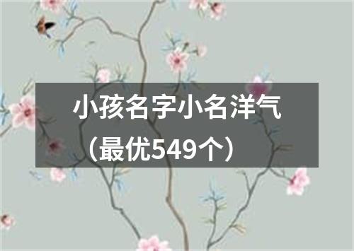 小孩名字小名洋气（最优549个）