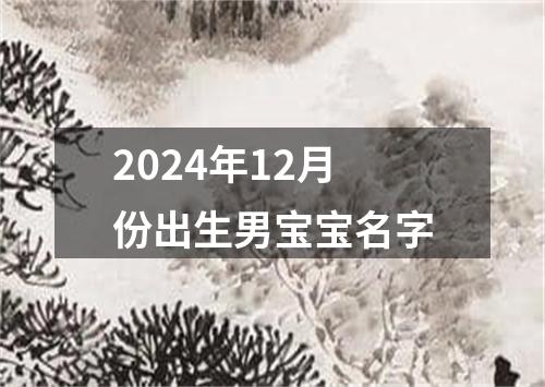 2024年12月份出生男宝宝名字