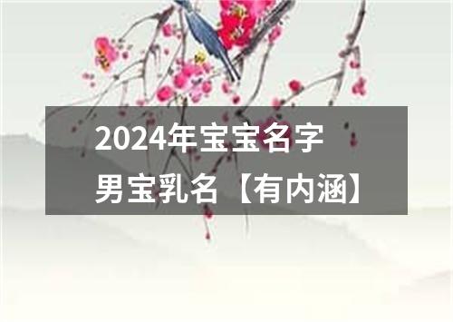 2024年宝宝名字男宝乳名【有内涵】