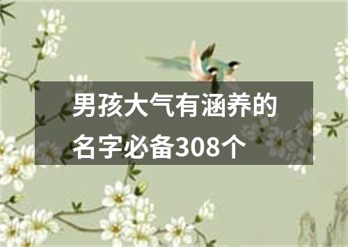 男孩大气有涵养的名字必备308个