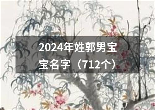 2024年姓郭男宝宝名字（712个）