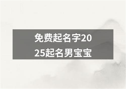 免费起名字2025起名男宝宝