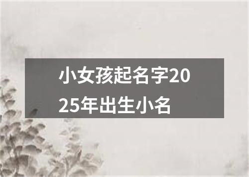 小女孩起名字2025年出生小名