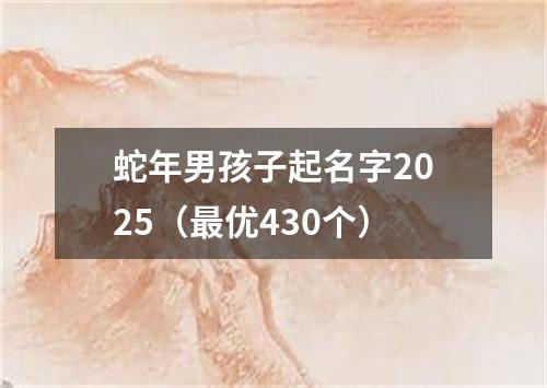 蛇年男孩子起名字2025（最优430个）