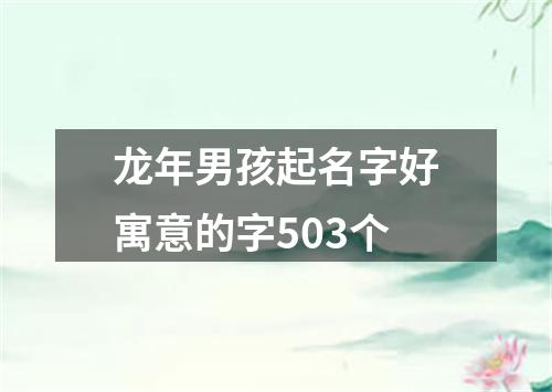 龙年男孩起名字好寓意的字503个