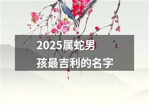 2025属蛇男孩最吉利的名字