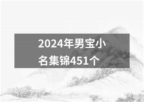 2024年男宝小名集锦451个