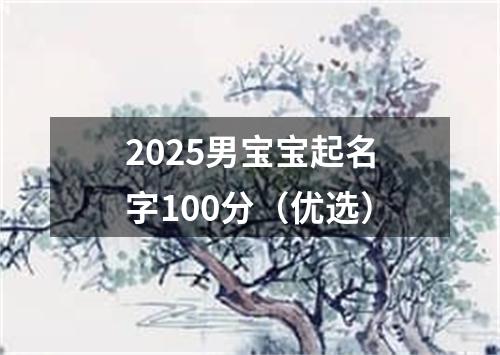 2025男宝宝起名字100分（优选）