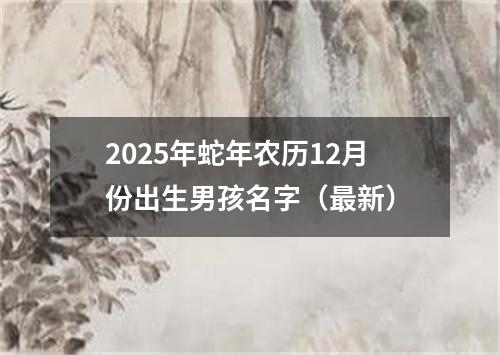 2025年蛇年农历12月份出生男孩名字（最新）