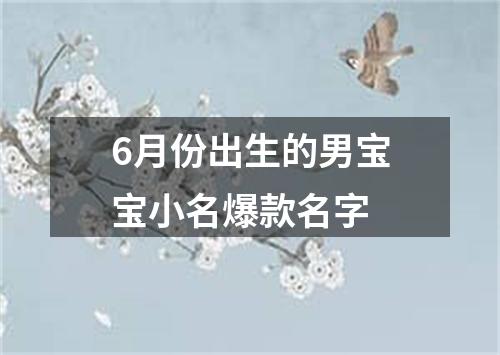 6月份出生的男宝宝小名爆款名字