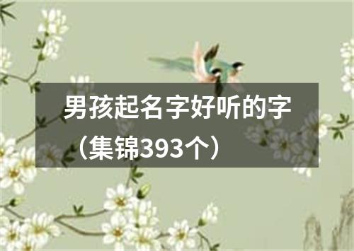 男孩起名字好听的字（集锦393个）