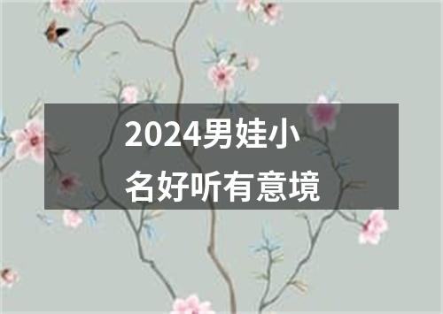 2024男娃小名好听有意境