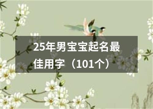 25年男宝宝起名最佳用字（101个）