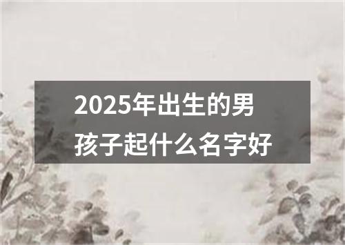 2025年出生的男孩子起什么名字好