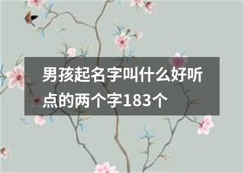 男孩起名字叫什么好听点的两个字183个