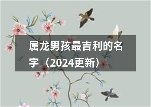 属龙男孩最吉利的名字（2024更新）