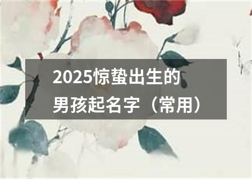 2025惊蛰出生的男孩起名字（常用）