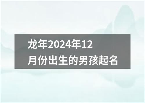 龙年2024年12月份出生的男孩起名