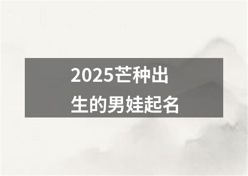 2025芒种出生的男娃起名