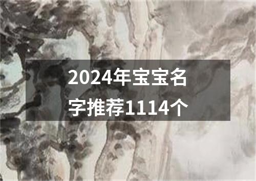 2024年宝宝名字推荐1114个