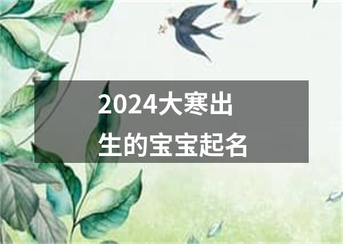 2024大寒出生的宝宝起名