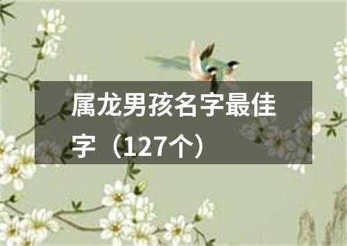 属龙男孩名字最佳字（127个）