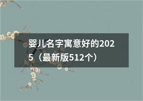 婴儿名字寓意好的2025（最新版512个）