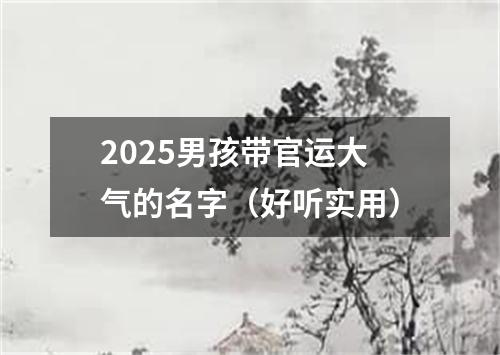 2025男孩带官运大气的名字（好听实用）