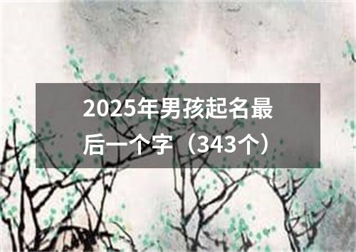 2025年男孩起名最后一个字（343个）