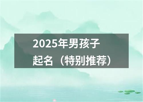 2025年男孩子起名（特别推荐）