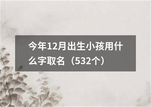 今年12月出生小孩用什么字取名（532个）