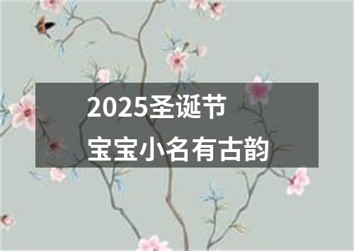 2025圣诞节宝宝小名有古韵