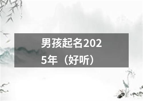 男孩起名2025年（好听）