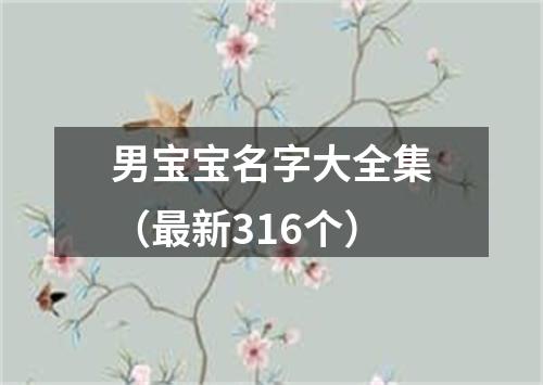 男宝宝名字大全集（最新316个）