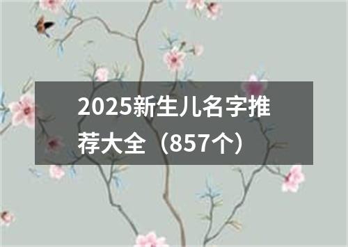 2025新生儿名字推荐大全（857个）