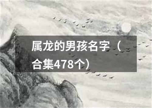 属龙的男孩名字（合集478个）