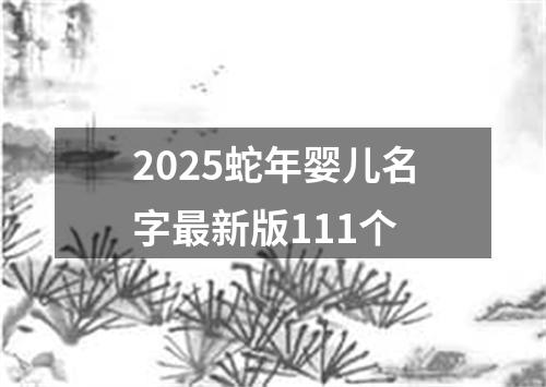 2025蛇年婴儿名字最新版111个