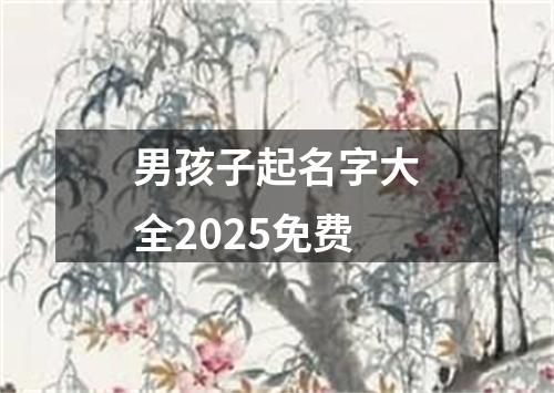 男孩子起名字大全2025免费