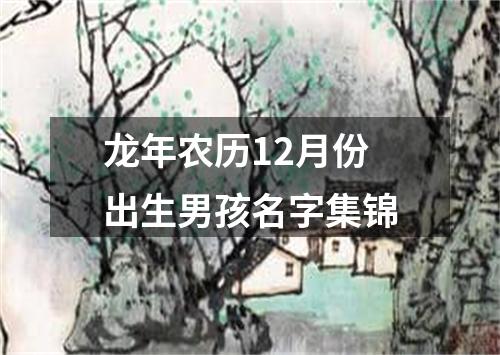 龙年农历12月份出生男孩名字集锦