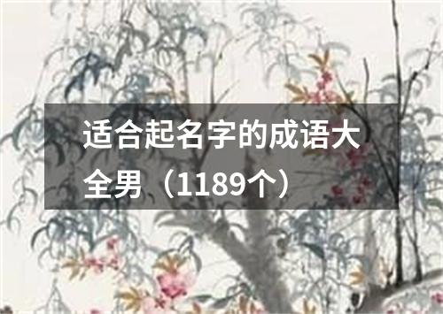 适合起名字的成语大全男（1189个）