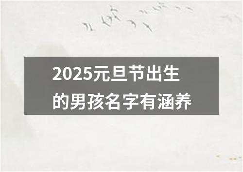 2025元旦节出生的男孩名字有涵养