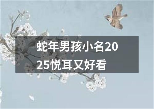 蛇年男孩小名2025悦耳又好看