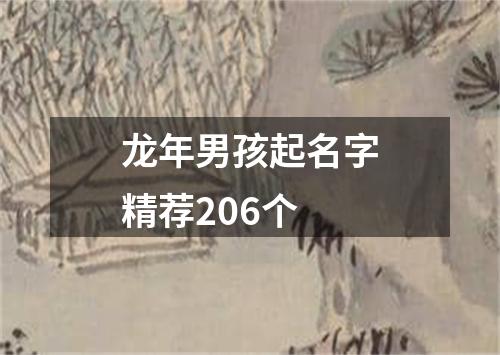 龙年男孩起名字精荐206个