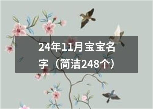 24年11月宝宝名字（简洁248个）