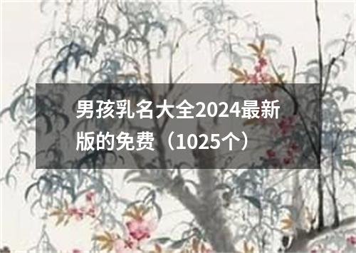 男孩乳名大全2024最新版的免费（1025个）