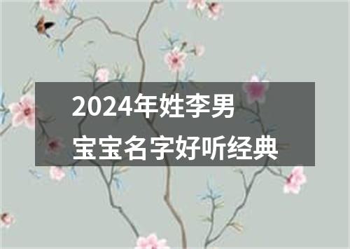 2024年姓李男宝宝名字好听经典