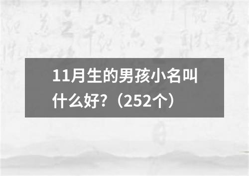 11月生的男孩小名叫什么好?（252个）